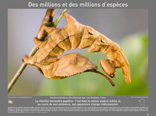 P2007 04DesMillionsEtDesMillionsDEspeces 